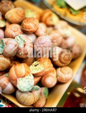 FRANCE, Noyers, Burgundy, close-up of escargots in a small market Stock Photo