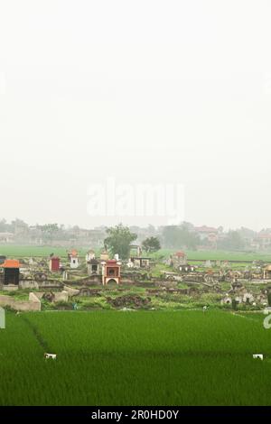 VIETNAM, Hanoi countryside, beautiful rice fields surround a cemetery in Thanh Bac Ninh Stock Photo