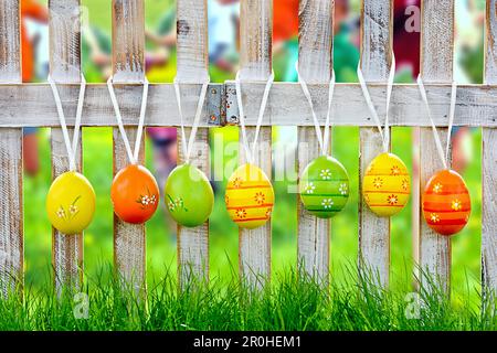 Easter eggs hanging at a garden fence, Germany Stock Photo