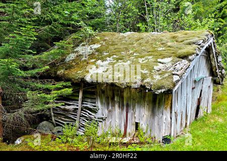 old, decaying wooden hut, Germany Stock Photo