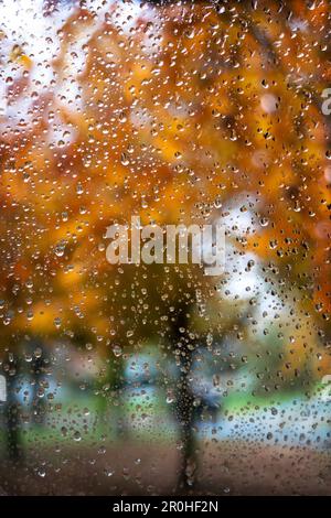 raindrops on a window panel in autumn, Germany Stock Photo