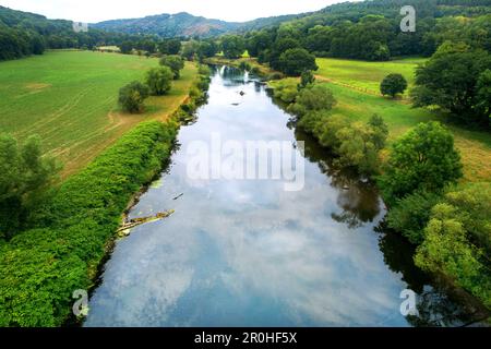 floodplain of river Sieg, 2018-08-2018, aerial view, Germany, North Rhine-Westphalia, Rhein-Sieg-Kreis Stock Photo