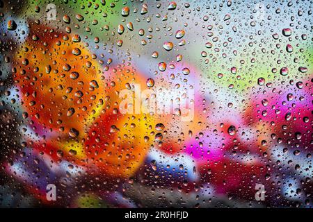 raindrops on a window panel in autumn, Germany Stock Photo