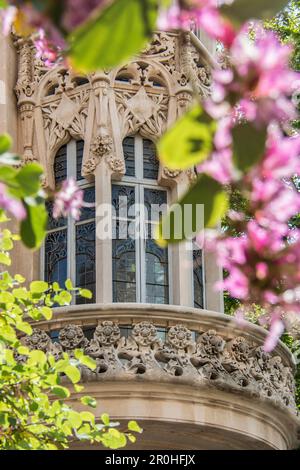 Art nouveau front, Gran Hotel, Palma de Mallorca, Majorca, Spain Stock Photo
