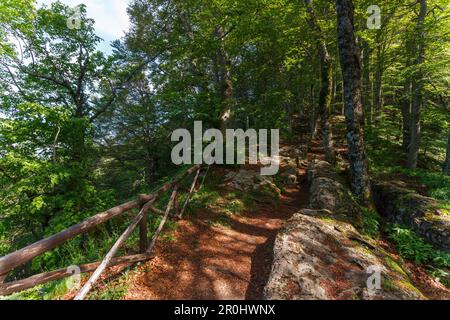 Trail on Monte Penna mountain, La Verna, Franciscan monastary, St. Francis of Assisi, Via Francigena di San Francesco, St. Francis Way, near Chiusi de Stock Photo