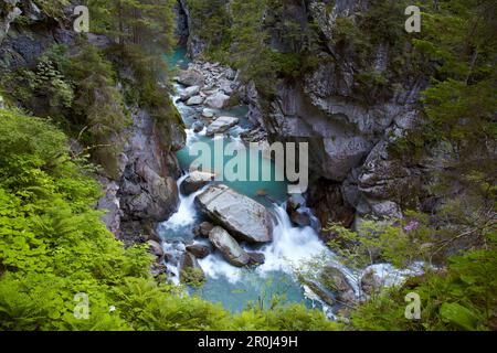 View into the Roffla Gorge, Hinterrhein, Rhine, Andeer, Canton of Grisons, Switzerland, Europe Stock Photo