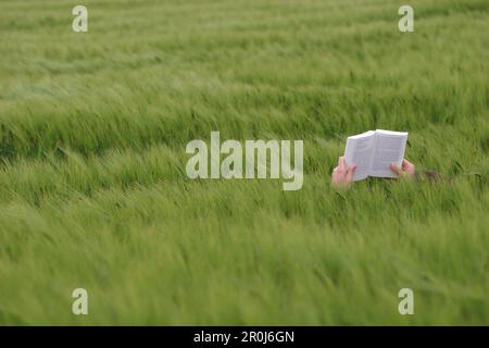 A man lying in a field holding an open book in his hands and reading, Bad Wildungen, Hesse, Germany, Europe Stock Photo