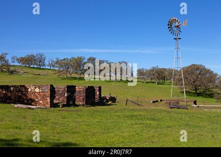 Telegraph City in Calaveras County Originally called Grasshopper the town's name was changed to Telegraph City after the construction of a telegraph l Stock Photo