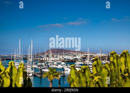 New harbour, Marina Rubicon, Playa Blanca, Lanzarote, Canary Islands, Spain Stock Photo