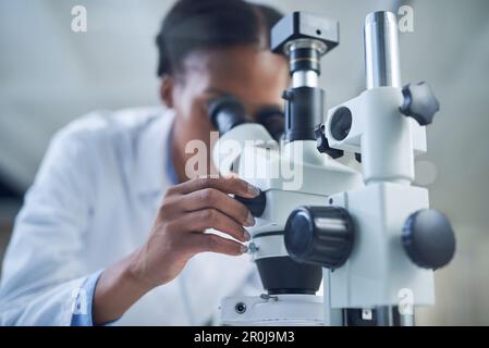 Witness her scientific work in action. a young scientist using a microscope while conducting research in a laboratory. Stock Photo