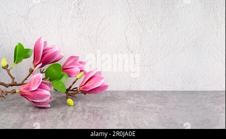 Beautiful pink magnolia flowers on white background with copy space for your design. Stock Photo