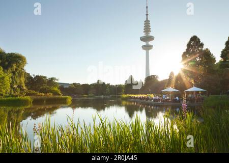 People sitting on the terrace of the Seepavillon snack bar at the park lake, television tower in the background, Planten un Blomen, Hamburg, Germany Stock Photo