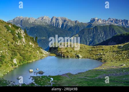 Mountain lake Lago delle Trote with Latemar range and Rosengarten range in background, lake lago delle Trote, Trans-Lagorai, Lagorai range, Dolomites, Stock Photo
