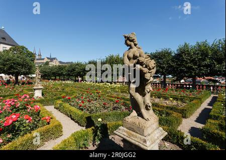 Rose garden in the inner courtyard of the residence, New Residence of the Prince-Bishops of Bamberg, 17th century, historic city center, UNESCO world Stock Photo