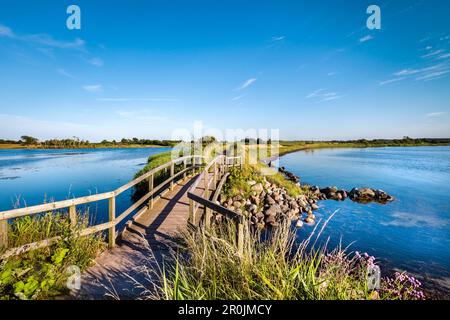 Path over the Holnis Noor to Holnis peninsula, Flensburger Foerde, Baltic Coast, Schleswig-Holstein, Germany Stock Photo