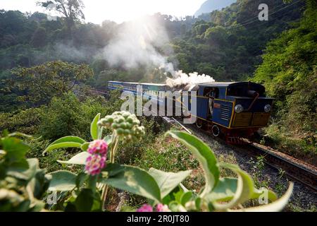 Diesel locomotive of the Nilgiri Mountain Railway, cog wheel technology, about 1,000m above sea level, from Conoor, travelling to Mettupalayam, Nilgir Stock Photo