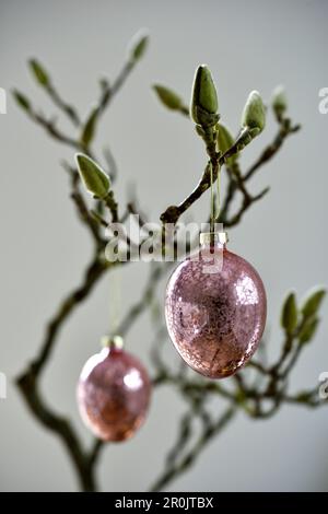 Pink glass balls as Easter decorations on a Magnolia branch, Hamburg, Germany Stock Photo
