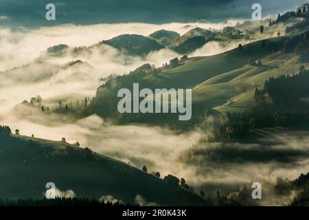 View from the Belchen south on the Wiesental valley, morning atmosphere with fog, autumn, Black Forest, Baden-Wuerttemberg, Germany Stock Photo