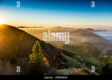 View from the Belchen south on the Wiesental valley and the Swiss Alps, sunrise, autumn, Black Forest, Baden-Wuerttemberg, Germany Stock Photo