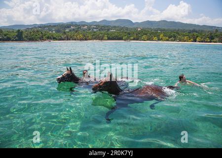 Horses swim in Caribbean Sea during Half Moon Resort horseback ride excursion Rose Hall, near Montego Bay, Saint James, Jamaica Stock Photo