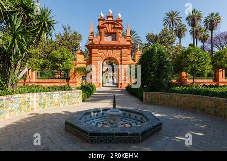 Gateway with palm trees, Jardin Marques de la Vega Inclan, Jardines del Real Alcazar, garden of the royal palace, UNESCO World Heritage, Sevilla, Anda Stock Photo