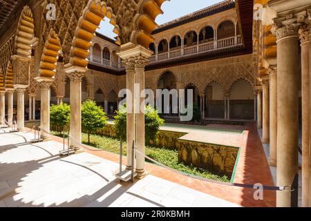 Patio de las Doncellas, Palacio del Rey Don Pedro, Real Alcazar, royal palace, Mudejar style architecture, UNESCO World Heritage, Sevilla, Andalucia, Stock Photo