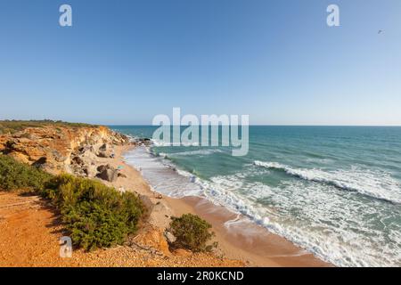 Cala Tio Juan Medina, bay and beach, Calas de Roche, near Conil, Costa de la Luz, Atlantic Ocean, Cadiz province, Andalusia, Spain, Europe Stock Photo