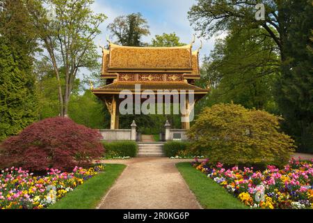 Thai temple, Thai Sala, Kurpark, Bad Homburg, Hesse, Germany Stock Photo