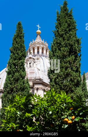 The dome of the St. Peter's Basilica Basilica di San Pietro seen from the German cemetery Campo Santo Teutonico, Rome, Latium, Italy Stock Photo