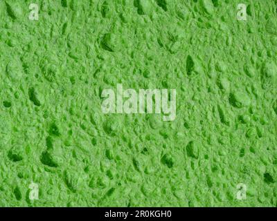 Green wash sponge, texture of porous sponge close-up Stock Photo
