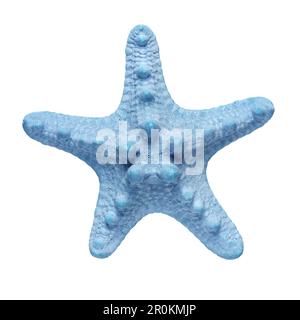 Dried blue sea star starfish isolated on white background. Stock Photo