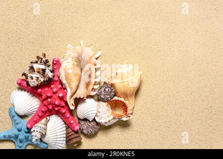 Starfish and seashells at the beach sand with copy space. Stock Photo