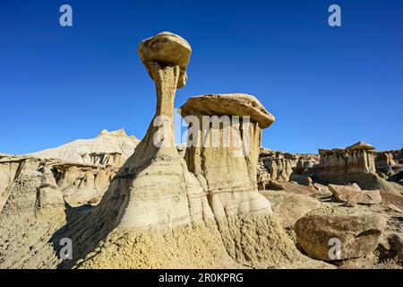Rock towers with white sandstone, Bisti Badlands, De-Nah-Zin Wilderness Area, New Mexico, USA Stock Photo