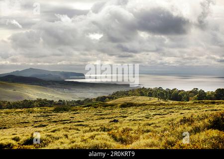 EASTER ISLAND, CHILE, Isla de Pascua, Rapa Nui, views from the hike up Rano Kau, an extinct volcano that forms the southwestern headland of Easter Isl Stock Photo