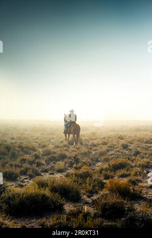 USA, Nevada, Wells, cowboy and wrangler Clay Nannini out early herding the mustangs at Mustang Monument, A sustainable luxury eco friendly resort and Stock Photo