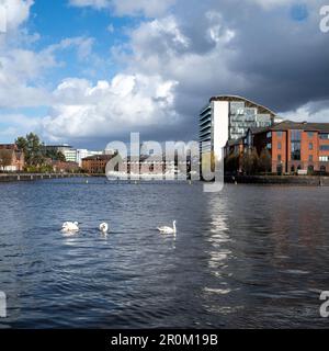 Reflections of contemporary buildings, Salford Quays, Manchester, UK Stock Photo