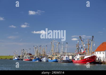 Fishing boats in the harbour of Büsum, Dithmarschen, Schleswig-Holstein, Northern Germany, Germany, Europe Stock Photo