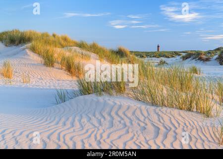 Lighthouse in the dunes on the East Frisian Island Norderney, North Sea, Lower Saxony, Northern Germany, Germany, Europe Stock Photo