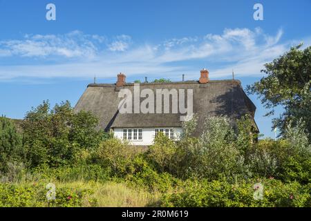 Thatched house in List, North Frisian Island Sylt, North Sea coast, Schleswig-Holstein, Northern Germany, Germany, Europe Stock Photo