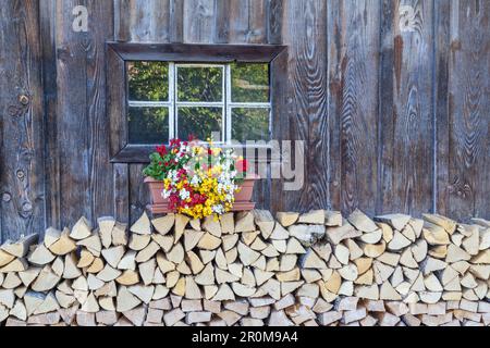 Window in wooden hut with woodpile and flowers, Gerold, Krün, near Mittenwald, Upper Bavaria, Bavaria Stock Photo