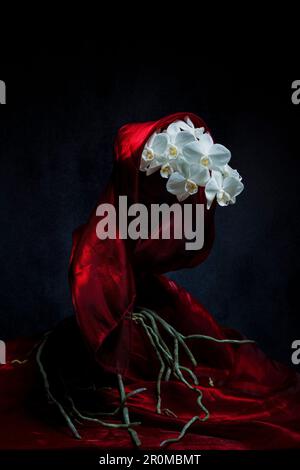 White Orchid wrapped in red silk. Stock Photo