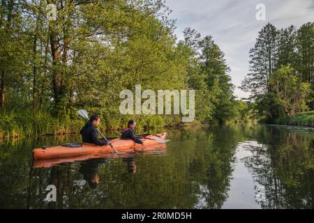 Water hiking by kayak through the UNESCO biosphere reserve Spreewald in Brandenburg, Stock Photo