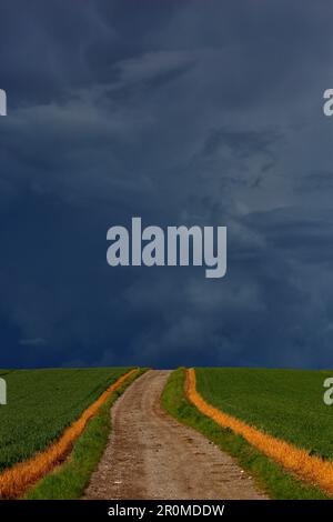 Rural farmtrack that goes over a hill, with a backdrop of very dark storm clouds Stock Photo