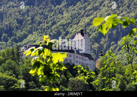 Castle Hohenaschau in front of mountain forest in Aschau im Chiemgau, Bavaria, Germany Stock Photo
