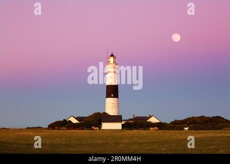 Full moon over the lighthouse "Red Cliff" at Kampen, Sylt, North Sea, Schleswig-Holstein, Germany Stock Photo