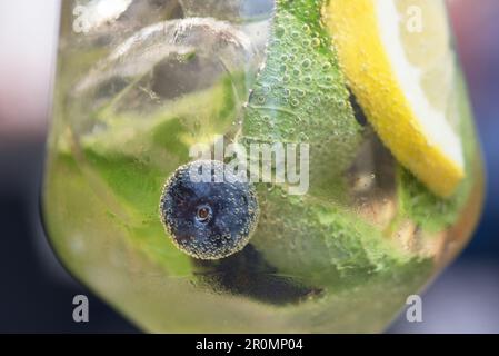 un bel bicchiere di cocktail con limone foglie di menta e mirtilli Stock Photo