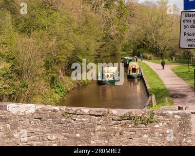 Green and cream narrowboat travelling along Monmouthshire and Brecon canal and two moored narrowboats having passed through Brynich lock Powys Mid Wal Stock Photo