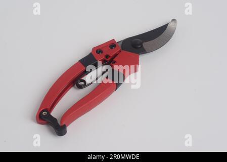 Red Gardening  Branch scissors on white background Stock Photo