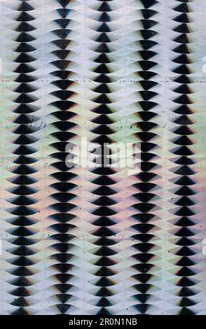 Broken stripes of muted color on white background Stock Photo