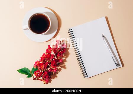 Blank notepad, pen, coffee cup and Aesculus Carnea flower on light beige table with sharp shadows. Holiday concept. Top view, flat lay, mockup. Stock Photo